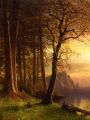 thumbnail Sunset In California - Yosemite