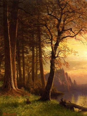 puzzle model Sunset In California - Yosemite