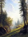 thumbnail Among The Bernese Alps