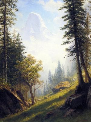 puzzle model Among The Bernese Alps