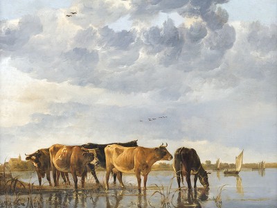 puzzle model Cows in a River