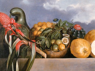 puzzle model Gourd, Citrus Fruits and Cactus