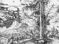 thumbnail Landscape with a Double Spruce
