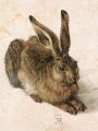thumbnail Young Hare