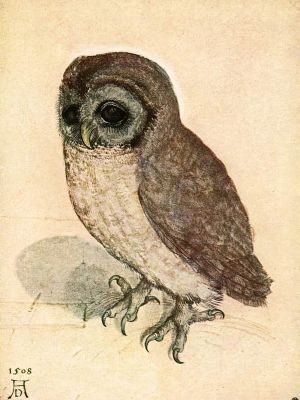 puzzle model The Little Owl