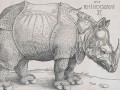 thumbnail The Rhinoceros