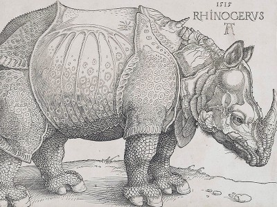 puzzle model The Rhinoceros