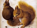 thumbnail Two Squirrels