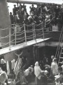 thumbnail The Steerage