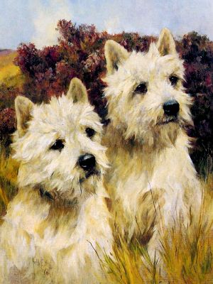 puzzle model Jacque And Jean,Champions Westhighland White Terriers
