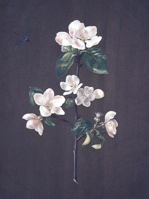 puzzle model Apple Blossom