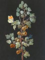 thumbnail A Branch of Gooseberries with a Dragonfly, an Orange-Tip Butterfly, and a Caterpillar
