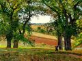 thumbnail Chestnut Trees at Osny