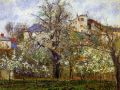 thumbnail Printemps. Pruniers en fleurs