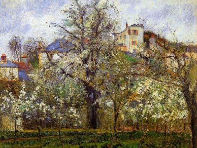 puzzle model Printemps. Pruniers en fleurs