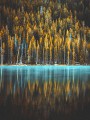 thumbnail Lake and forest