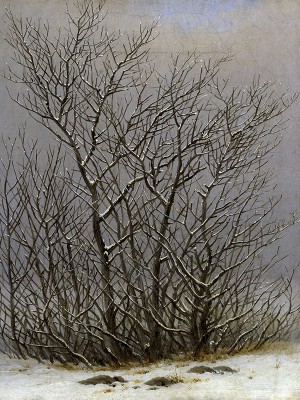 puzzle model Bushes in the snow