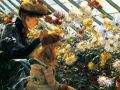 thumbnail Chrysanthemums