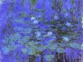 thumbnail Blue Water Lilies