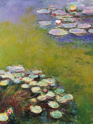 puzzle model Waterlilies, Harmony In Blue