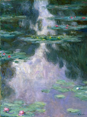 puzzle model Water lilies