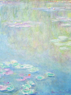 puzzle model Water Lilies