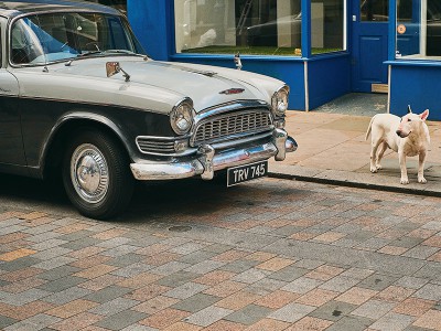 puzzle model Old car and dog