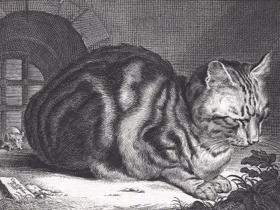 puzzle model The Large Cat