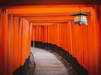 puzzle model The red corridor