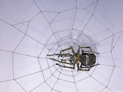 puzzle model Spider