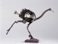 thumbnail Ostrich