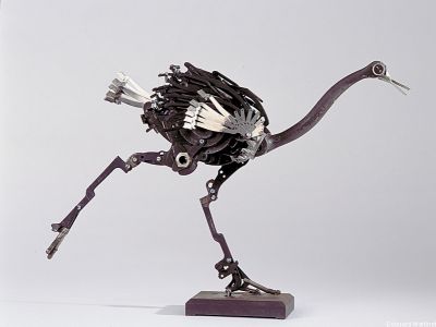puzzle model Ostrich