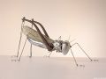 thumbnail Cricket