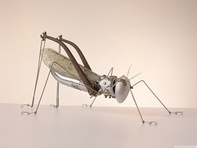 puzzle model Cricket
