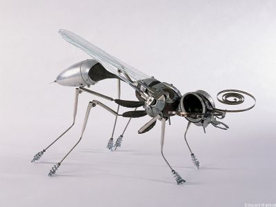 puzzle model Wasp