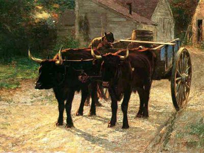 puzzle model Oxcart