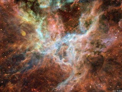 puzzle model Tarantula Nebula