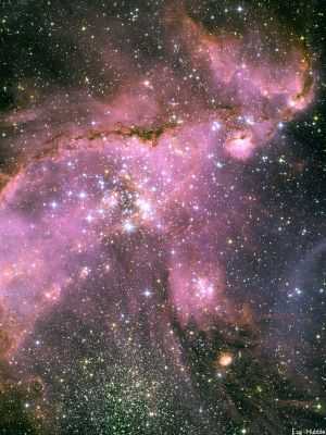 puzzle model Young Stars