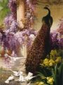 thumbnail Paon et tourterelles dans un jardin