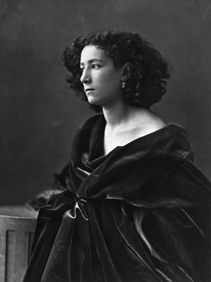 puzzle model Sarah Bernhardt