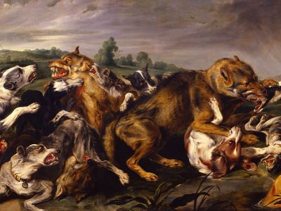 puzzle model The Battle Of Wolves And Dogs