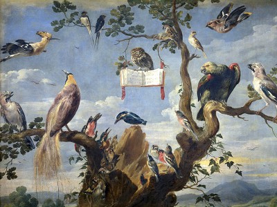 puzzle model Concert of Birds