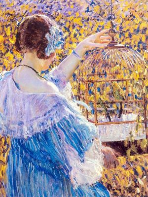puzzle model The Bird Cage
