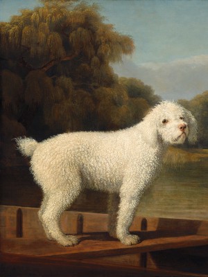 puzzle model White Poodle in a Punt