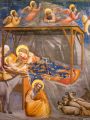 thumbnail Scrovegni Chapel : Nativity