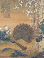 thumbnail Peacock Spreading Its Tail Feathers