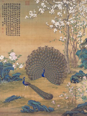 puzzle model Peacock Spreading Its Tail Feathers