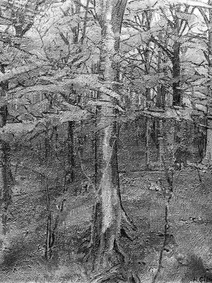 puzzle model Beech Wood