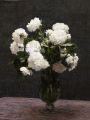 thumbnail White Roses