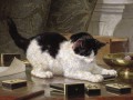 thumbnail The Cat at Play